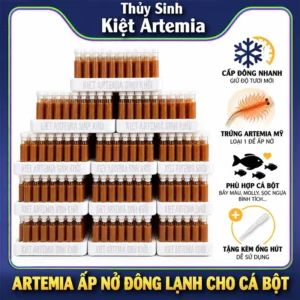 Artemia Ấp Nở Đông Lạnh Cho Cá Bột | Dùng Ngay