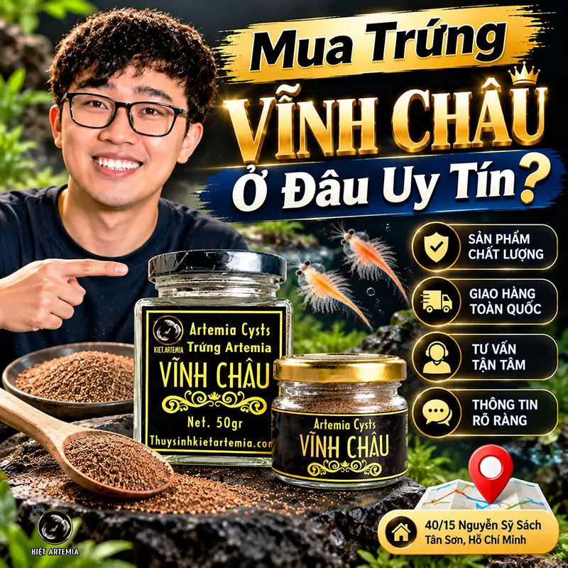 Nơi bán trứng Vĩnh Châu chính hãng, uy tín