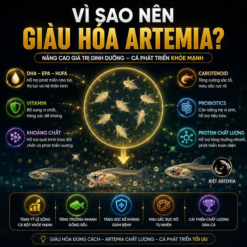 Giàu Hóa Artemia Là Gì? Cách Giàu Hóa Đúng Kỹ Thuật 3 Vì sao nên giàu hóa Artemia để nâng cao giá trị dinh dưỡng