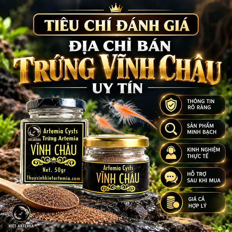 Tiêu chí đánh giá nơi bán trứng Vĩnh Châu đạt chuẩn